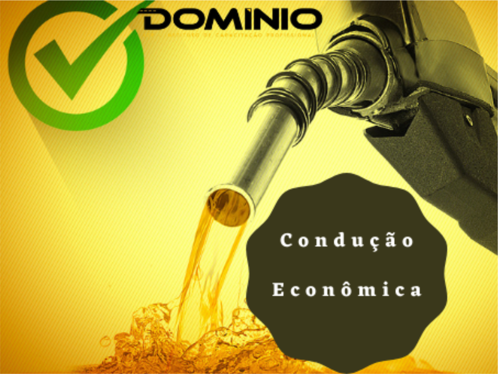 Conducao economica